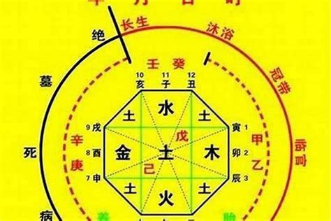 八字 五行 查詢|生辰八字算命、五行喜用神查詢（免費測算）